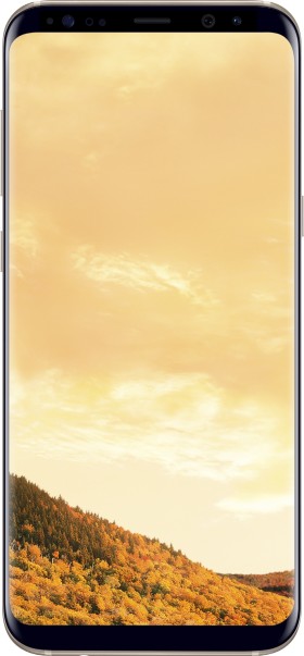 Samsung Galaxy S8+ recovery